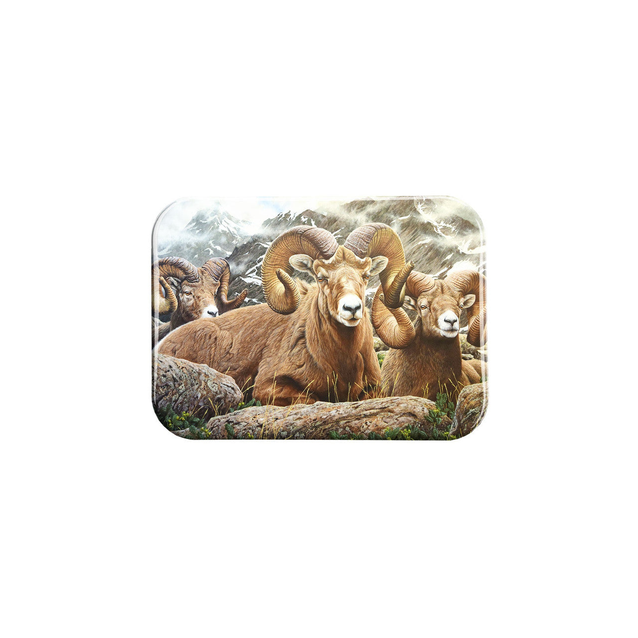 "Just Chillin" - 2.5" X 3.5" Rectangle Fridge Magnets