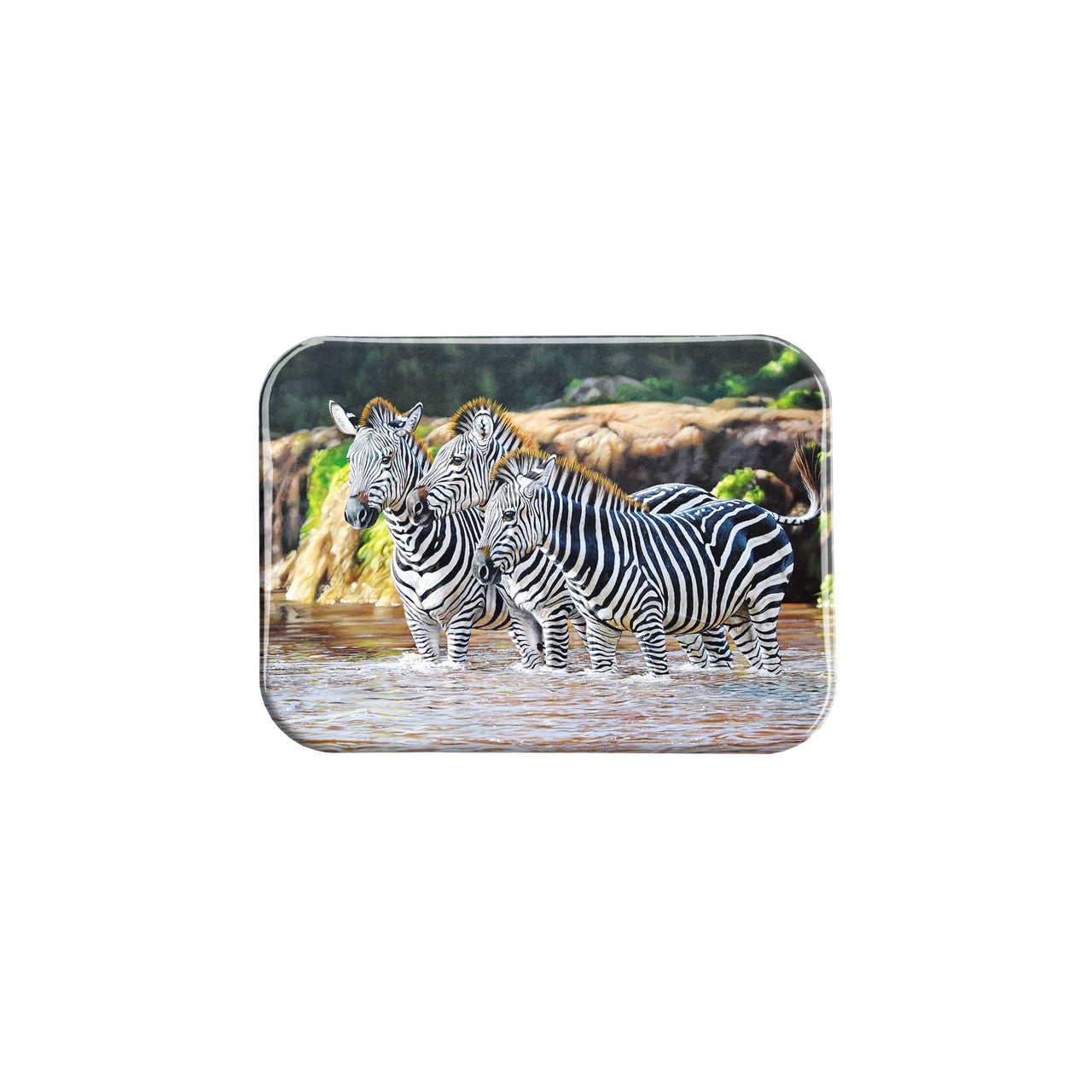 "Cooling Off II" - 2.5" X 3.5" Rectangle Fridge Magnets