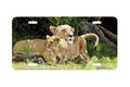 "Protective Custody"- Decorative License Plate