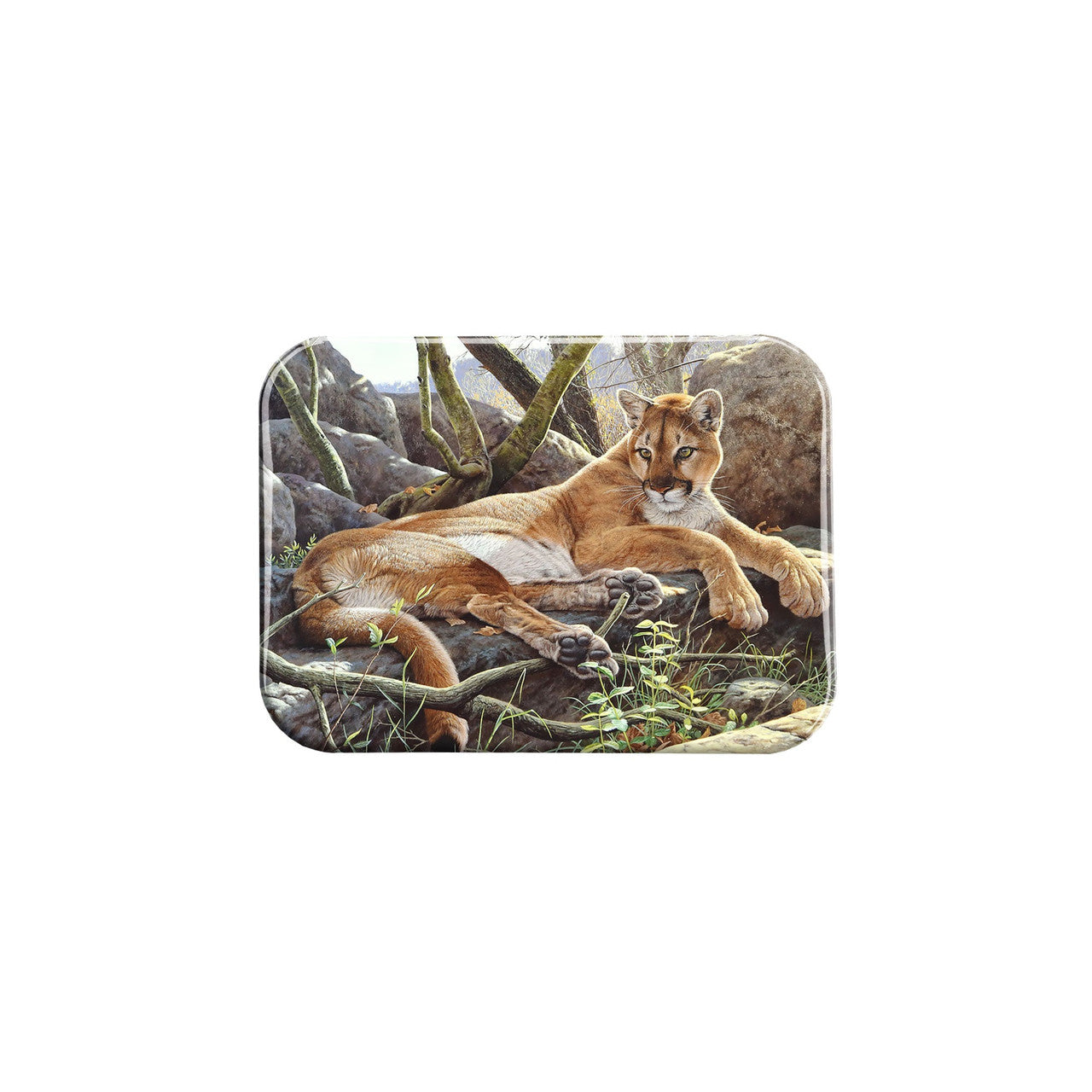 "Contemplation" - 2.5" X 3.5" Rectangle Fridge Magnets