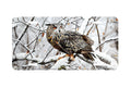 "Grey Owl"- Decorative License Plate