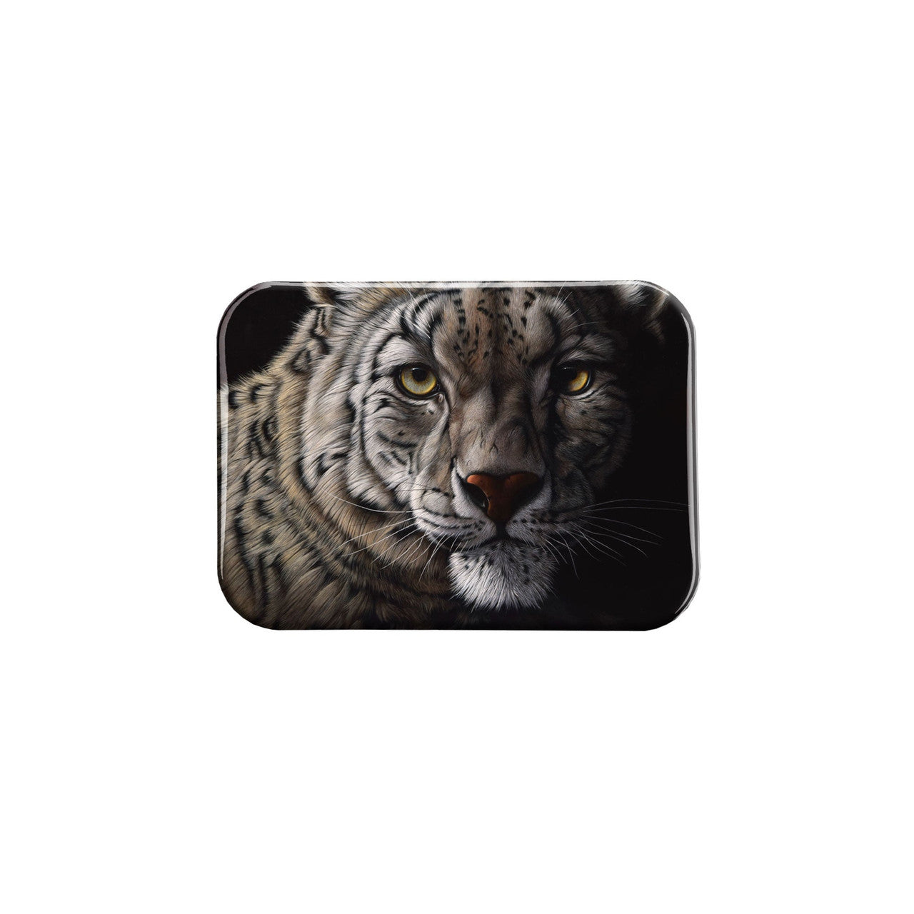 "Intensity" - 2.5" X 3.5" Rectangle Fridge Magnets