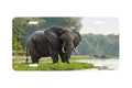 "Zambezi Morning"- Decorative License Plate