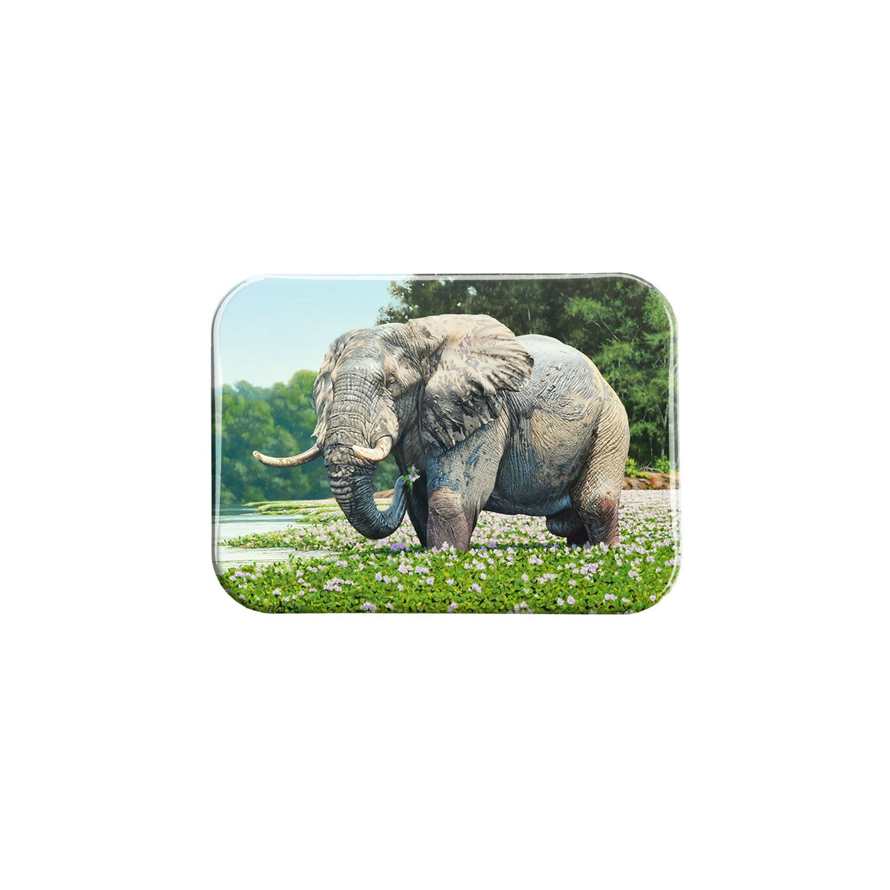 "Elephant in Eden" - 2.5" X 3.5" Rectangle Fridge Magnets