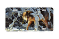 "Inquisitive"- Decorative License Plate