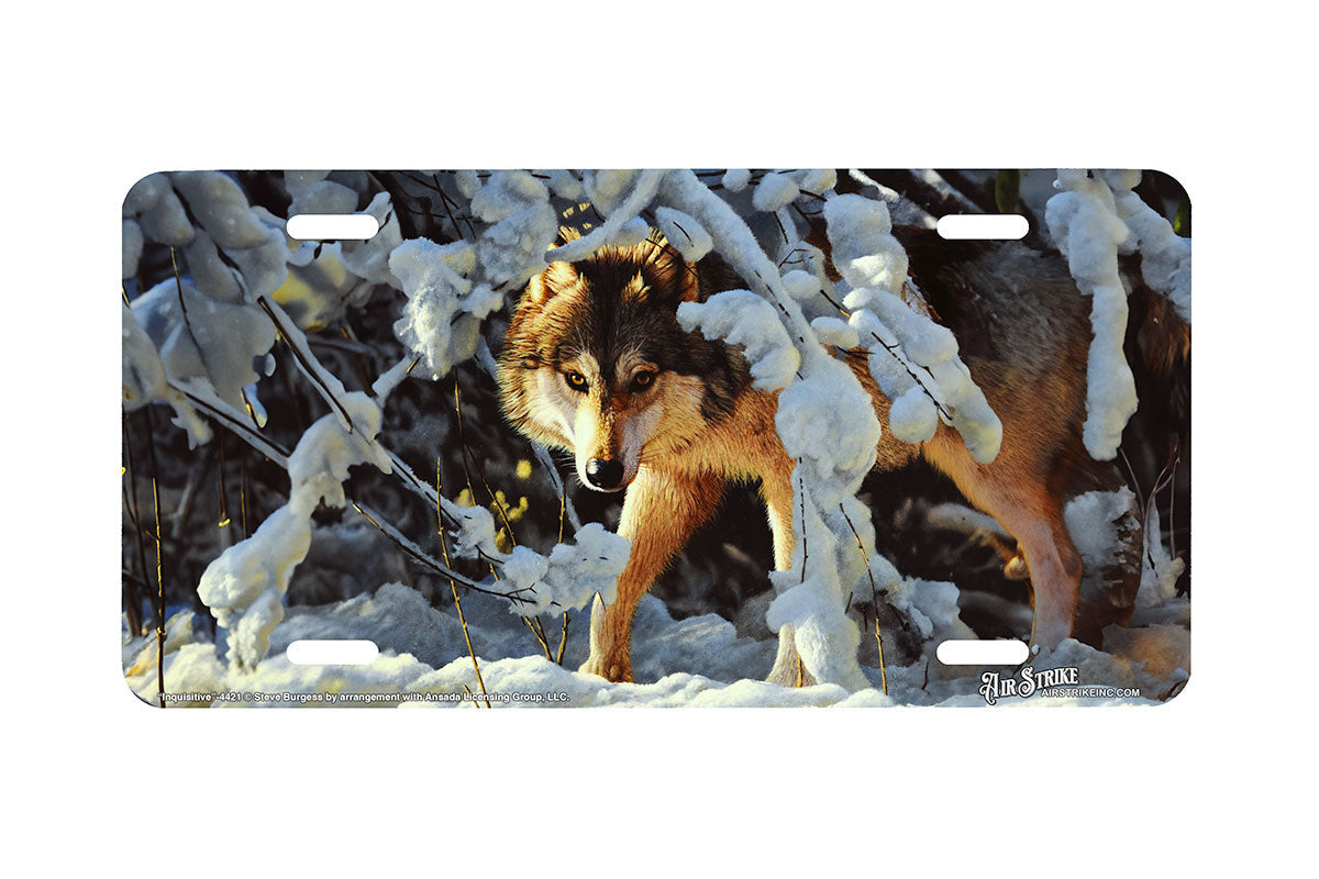 "Inquisitive"- Decorative License Plate