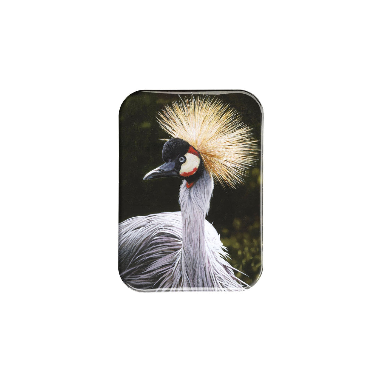 "Spike" - 2.5" X 3.5" Rectangle Fridge Magnets