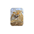 "Family Tree" - 2.5" X 3.5" Rectangle Fridge Magnets