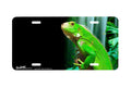 "Iguana Falls" - Decorative License Plate