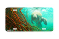 "Mangrove Morning" - Decorative License Plate