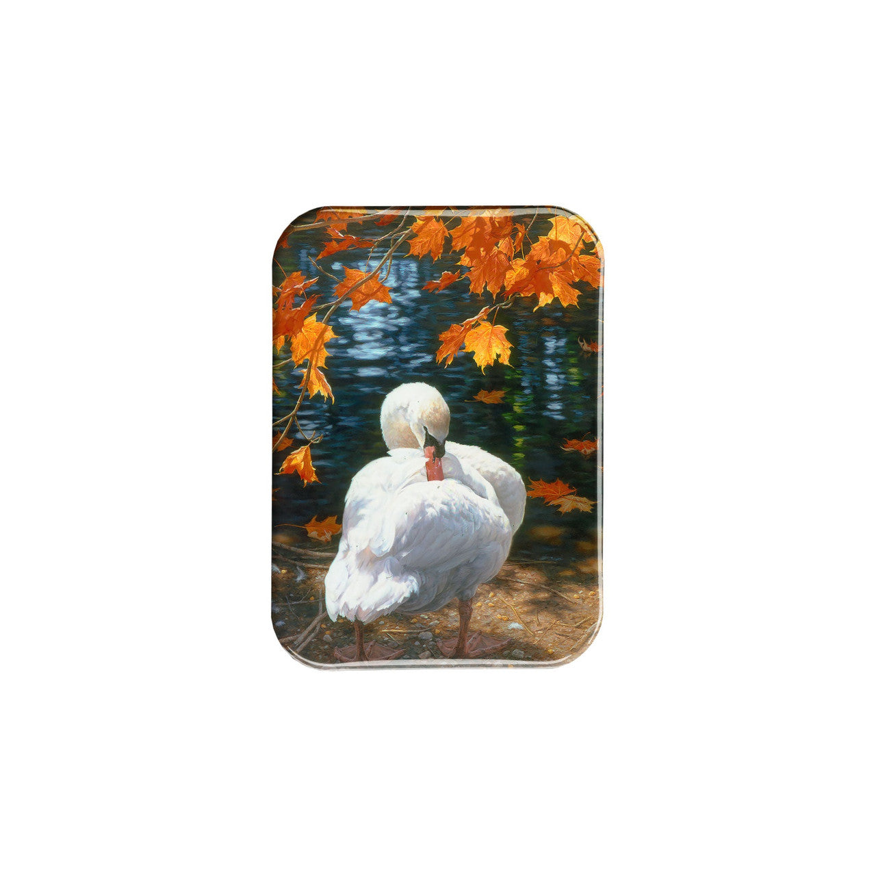 "October Swan" - 2.5" X 3.5" Rectangle Fridge Magnets