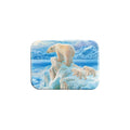 "Ice Castle" - 2.5" X 3.5" Rectangle Fridge Magnets