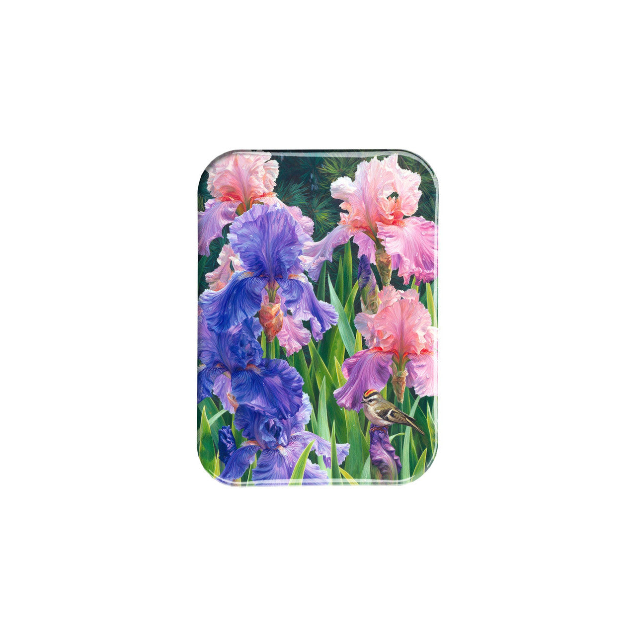 "Garden Light" - 2.5" X 3.5" Rectangle Fridge Magnets