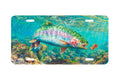 "Shelter Valley Rainbow" - Decorative License Plate