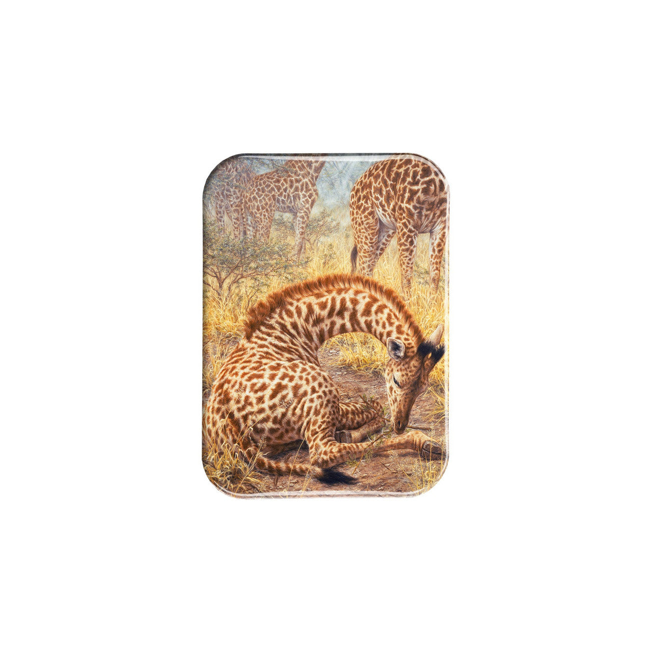 "Savannah Prince" - 2.5" X 3.5" Rectangle Fridge Magnets