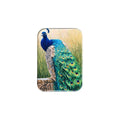 "Majestic" - 2.5" X 3.5" Rectangle Fridge Magnets