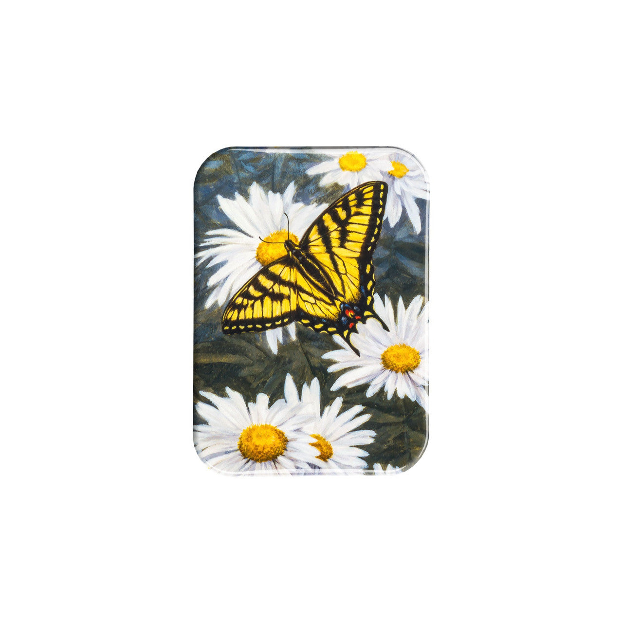 "Butterfly Afternoon" - 2.5" X 3.5" Rectangle Fridge Magnets