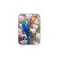 "Jungle Majesty" - 2.5" X 3.5" Rectangle Fridge Magnets