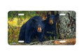 "Momma Bear Is Watching" - Decorative License Plate