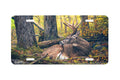 "The Forest Is Never Silent" - Decorative License Plate