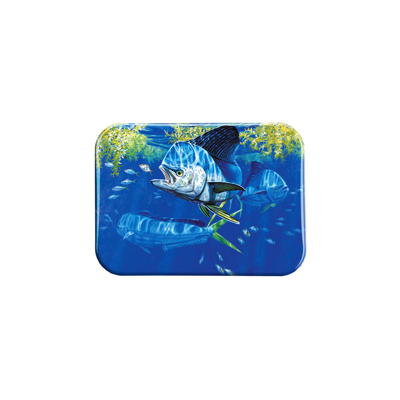 "Dolphin And Jacks" - 2.5" X 3.5" Rectangle Fridge Magnets