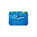 "Marlin And Dolphin" - 2.5" X 3.5" Rectangle Fridge Magnets