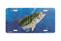 "Bass And Worm" - Decorative License Plate
