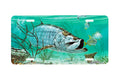 "Marquesas Keys Tarpon II" - Decorative License Plate