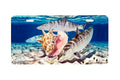 "Bones And Conch" - Decorative License Plate
