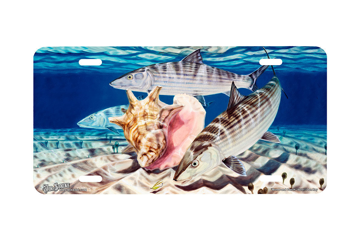 "Bones And Conch" - Decorative License Plate