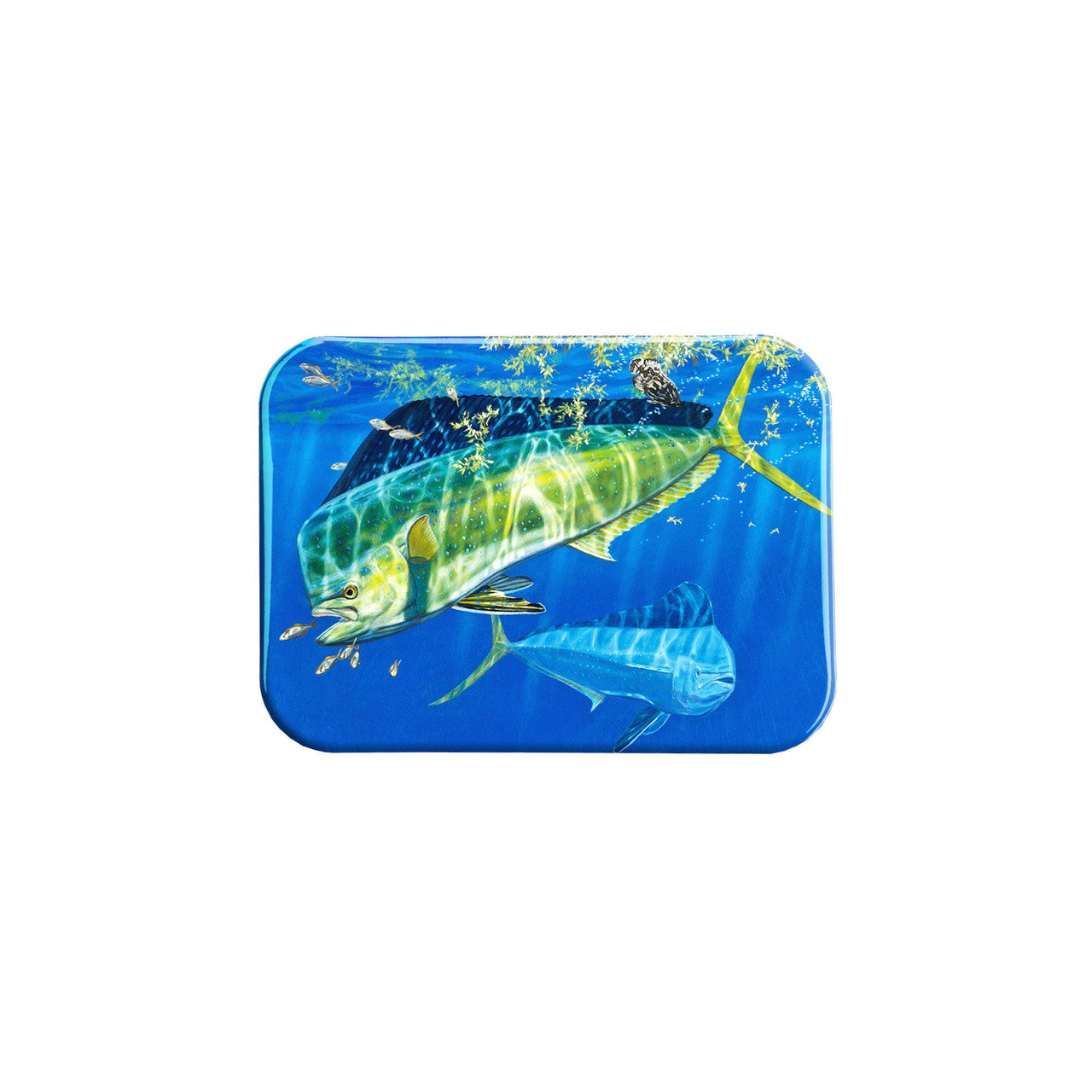 "Green Mahi" - 2.5" X 3.5" Rectangle Fridge Magnets