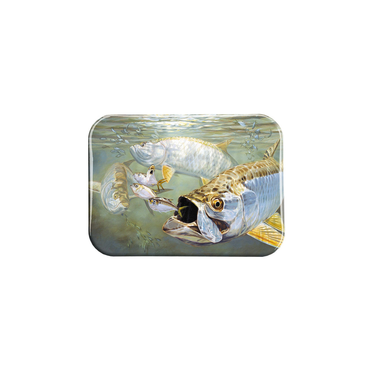 "Tarpon Menhaden" - 2.5" X 3.5" Rectangle Fridge Magnets