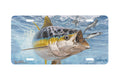 "Approaching Front" - Decorative License Plate