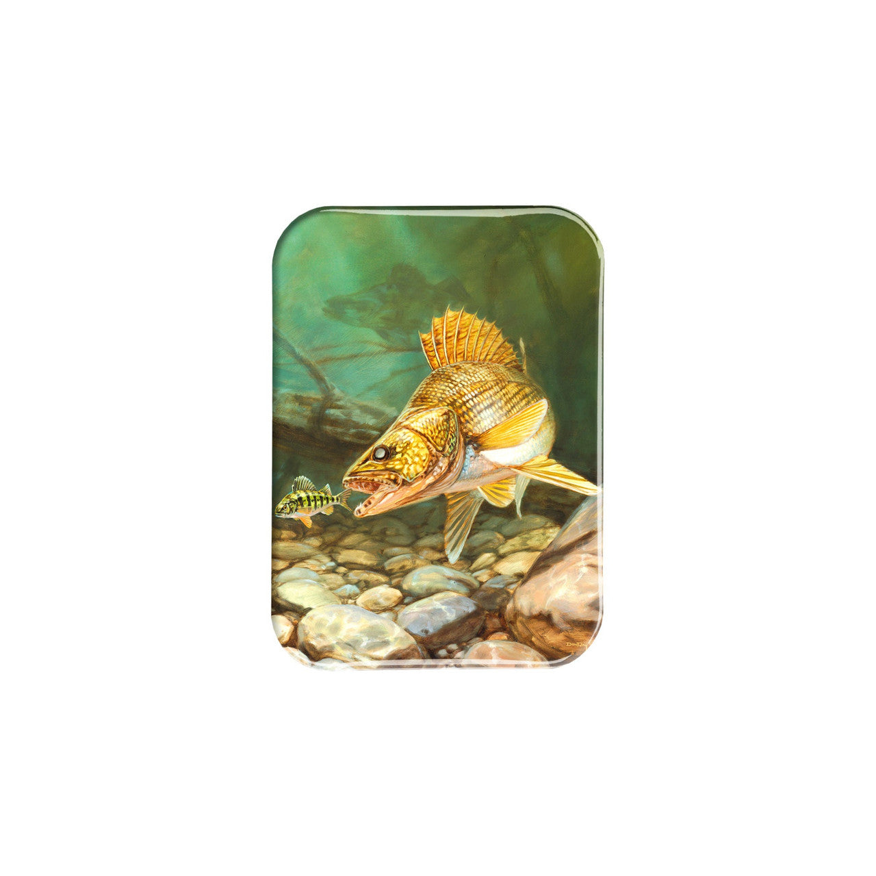 "Walleye" - 2.5" X 3.5" Rectangle Fridge Magnets
