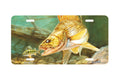 "Walleye" - Decorative License Plate