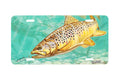 "Brown Trout" - Decorative License Plate