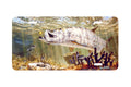 "Golden Fly Tarpon" - Decorative License Plate
