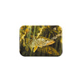 "Snook And Goliath" - 2.5" X 3.5" Rectangle Fridge Magnets