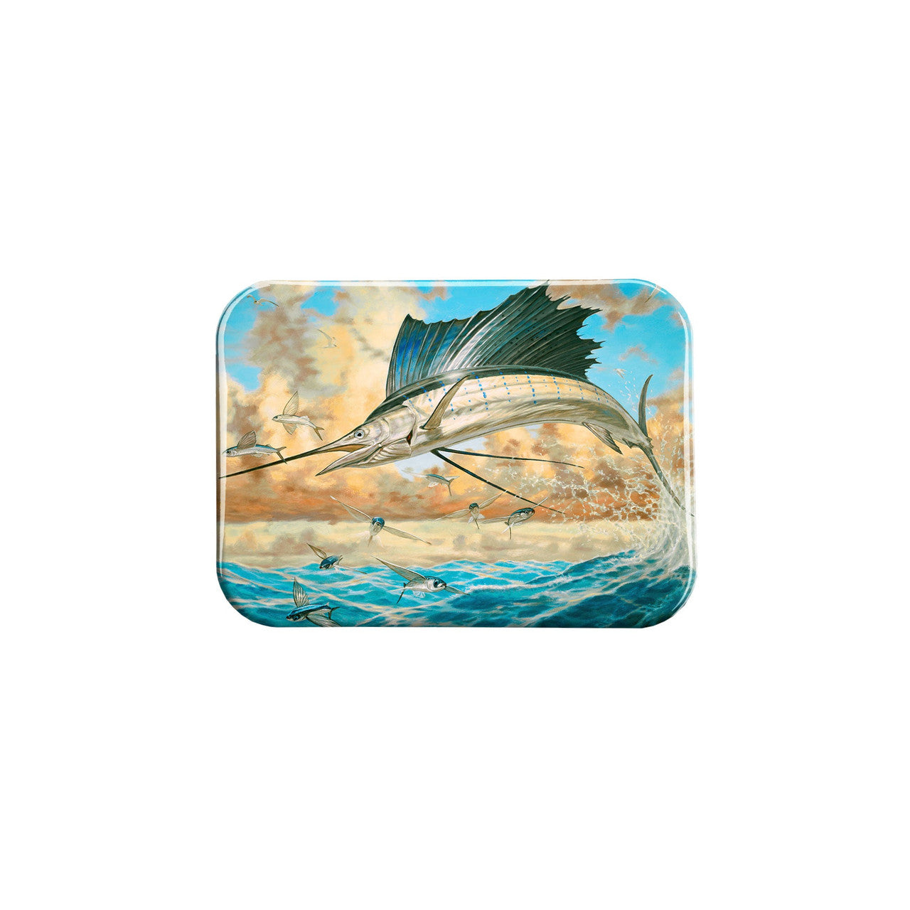 "Color Change" - 2.5" X 3.5" Rectangle Fridge Magnets