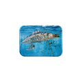 "Suspended Animation" - 2.5" X 3.5" Rectangle Fridge Magnets
