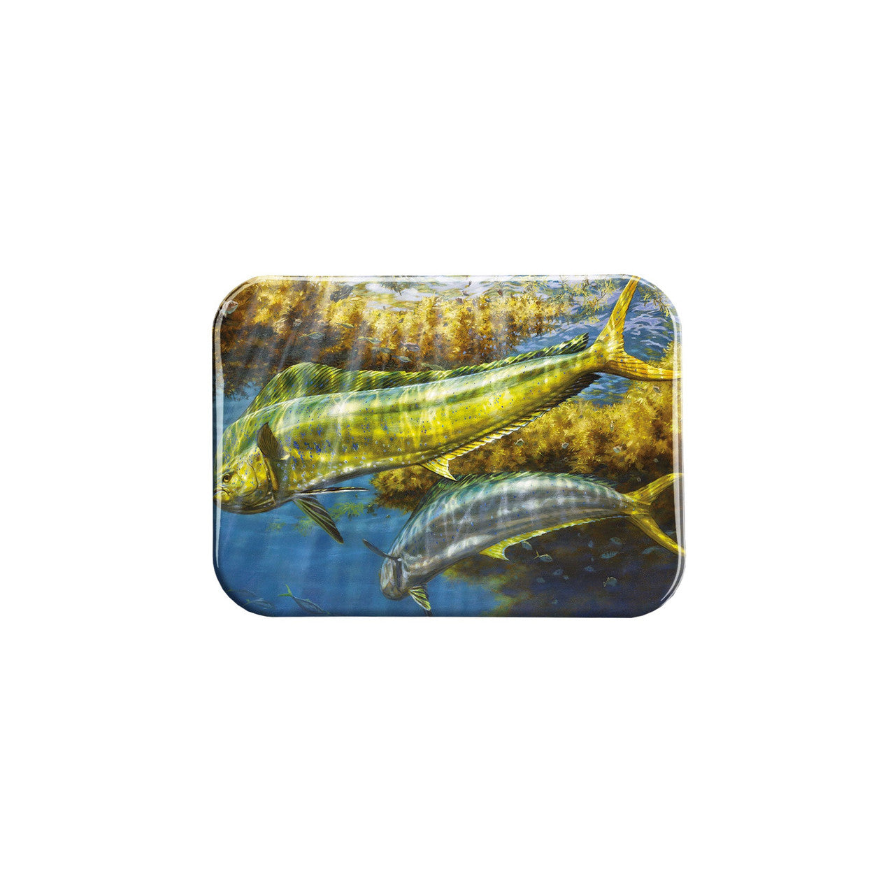 "Bull And Cow Dolphin" - 2.5" X 3.5" Rectangle Fridge Magnets
