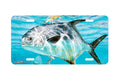 "Channel Crusiers" - Decorative License Plate