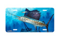 "Circling The Bait" - Decorative License Plate