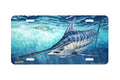 "Eyeing The Bait" - Decorative License Plate