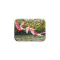 "Flight" - 2.5" X 3.5" Rectangle Fridge Magnets