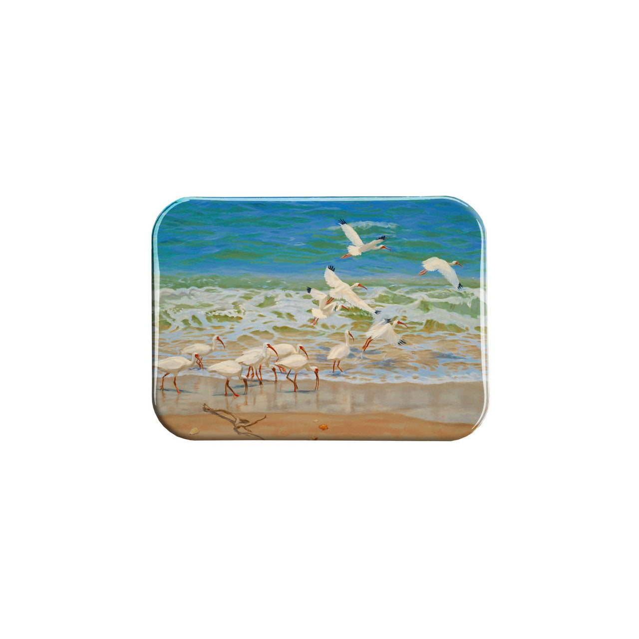 "Ibis Flight" - 2.5" X 3.5" Rectangle Fridge Magnets