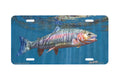 "Double Rainbow" - Decorative License Plate