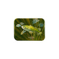 "Bulrushed" - 2.5" X 3.5" Rectangle Fridge Magnets