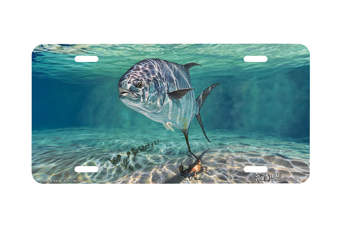 "Passing Glance" - Decorative License Plate
