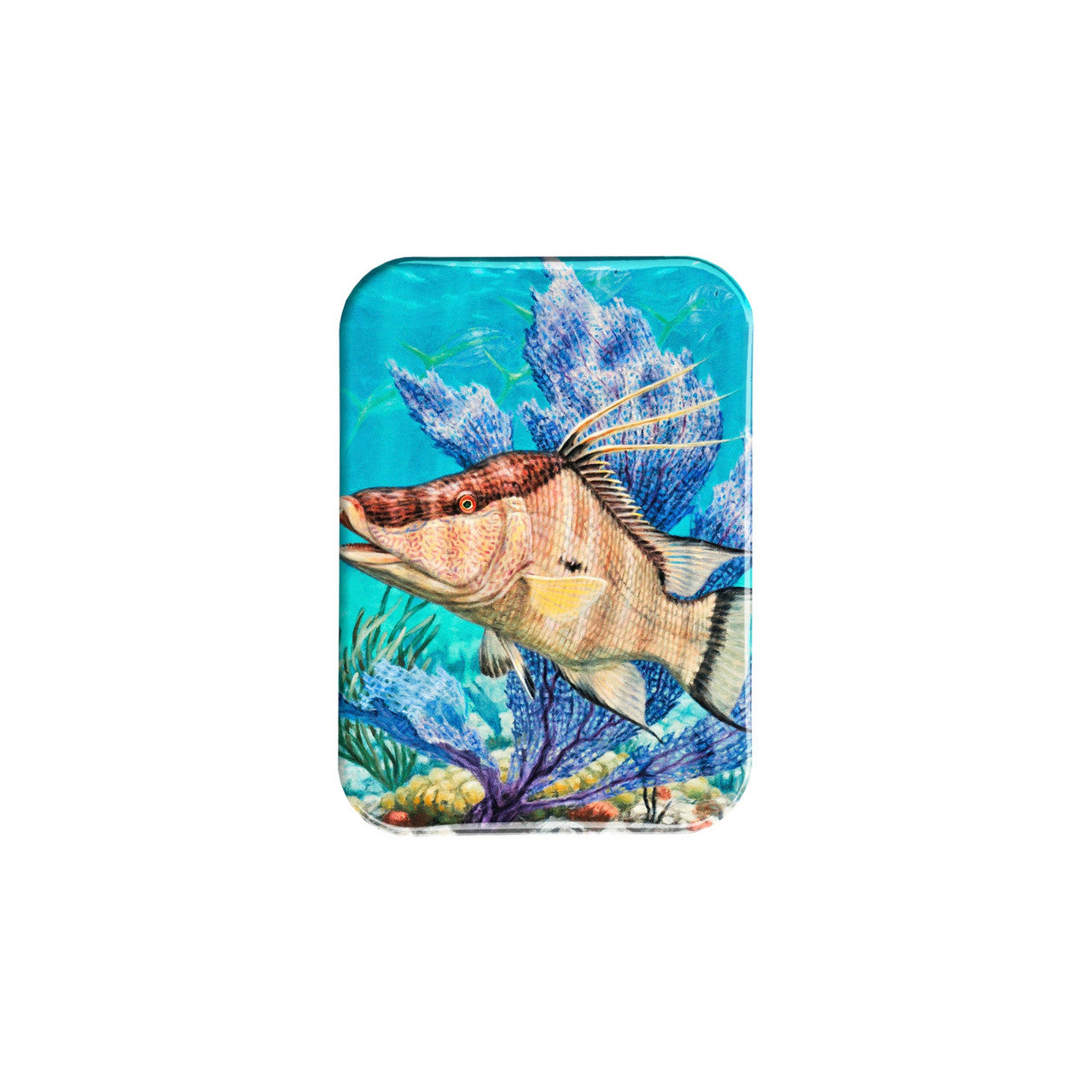 "Hogfish Reef" - 2.5" X 3.5" Rectangle Fridge Magnets